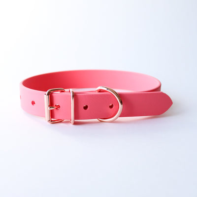 Coral - Classic Biothane Collar