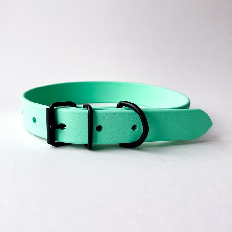 Seafoam Classic Biothane Collar