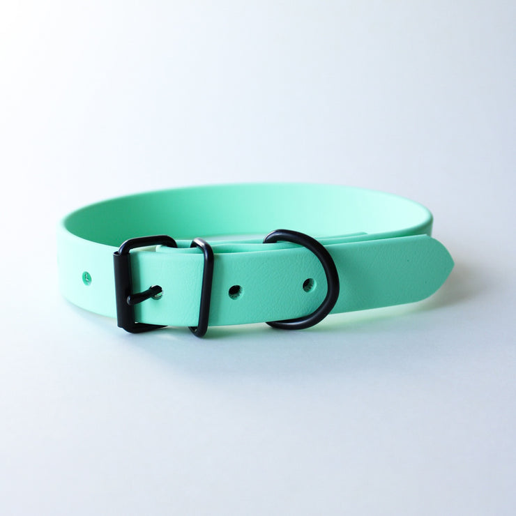 Seafoam - Classic Biothane Collar