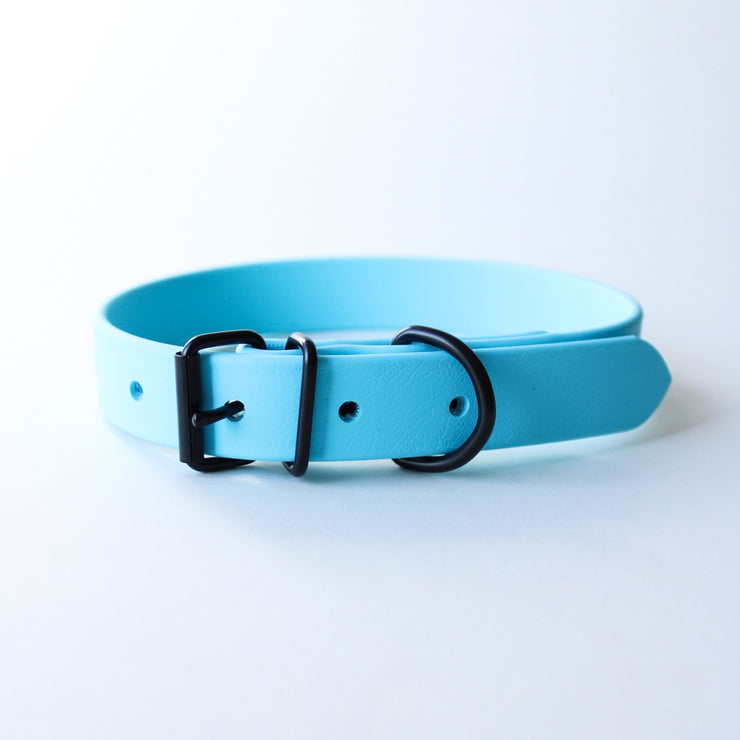 Baby blue leather dog collar hotsell